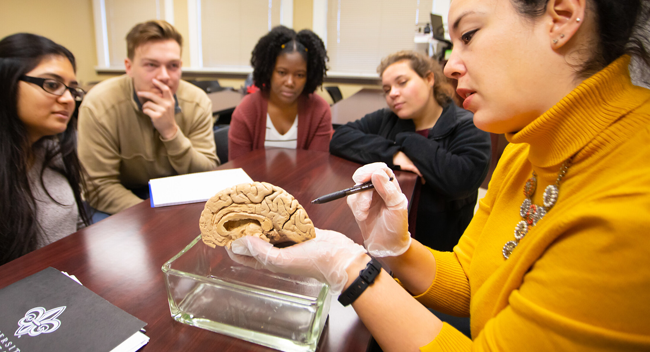 UL Lafayette professor showing a sculpture of the brain to a group of students