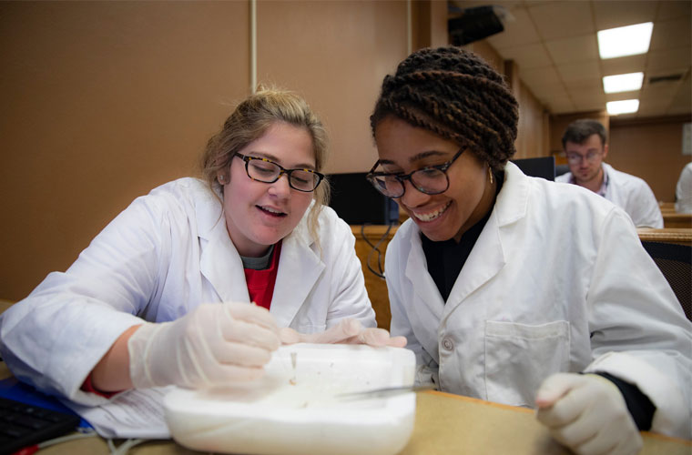 Two University of Louisiana at Lafayette students doing neurobiology research in a lab on campus