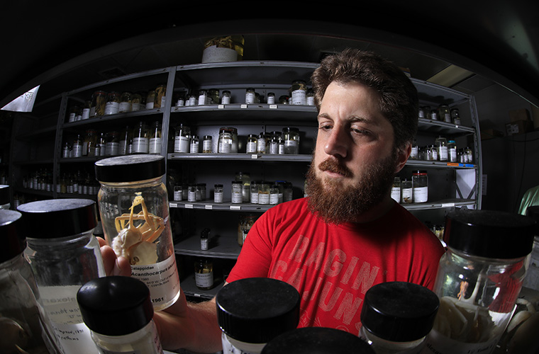 UL Lafayette student examining specimens