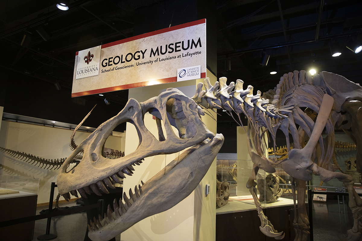 UL Lafayette’s School of Geosciences adds new concentrations in energy resources, paleontology