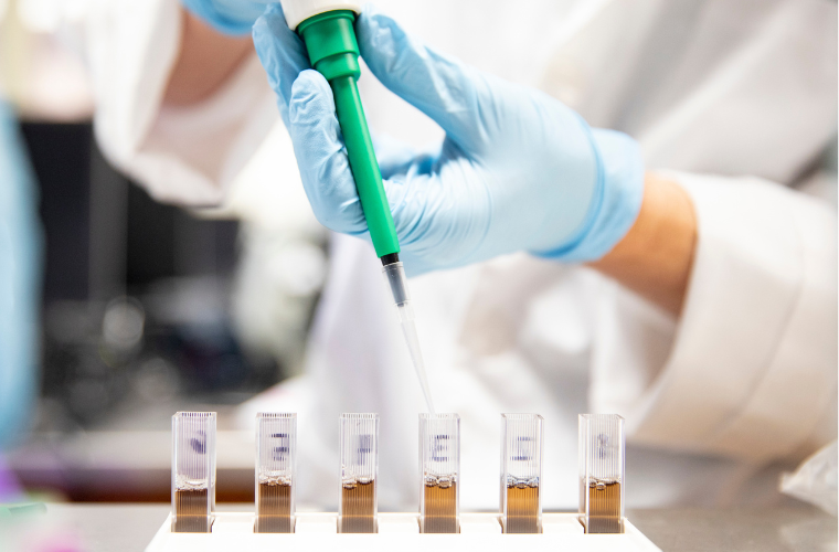 Test tubes in research lab 