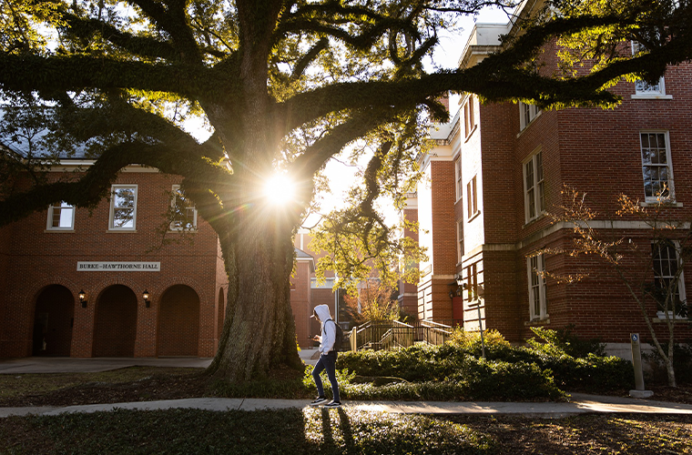 A picture of a student walking on UL Lafayette's campus on a beautiful, sunny morning