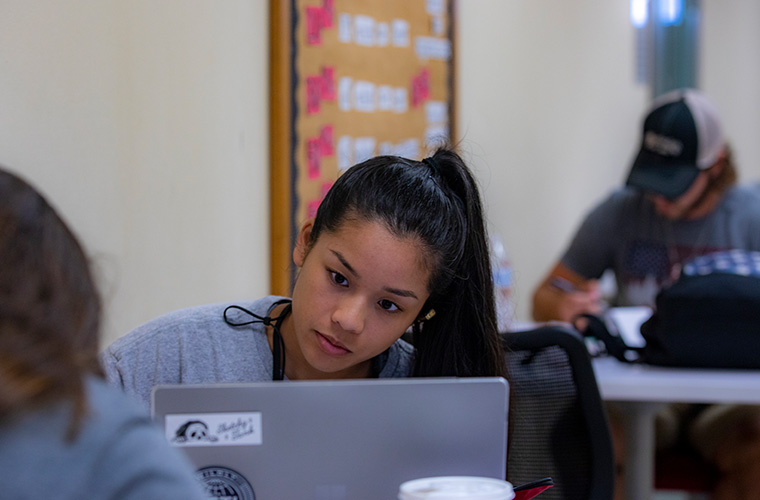 UL Lafayette student working at their laptop.