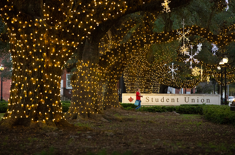 Campus oaks lit up with Christmas lights in front of the Student Union