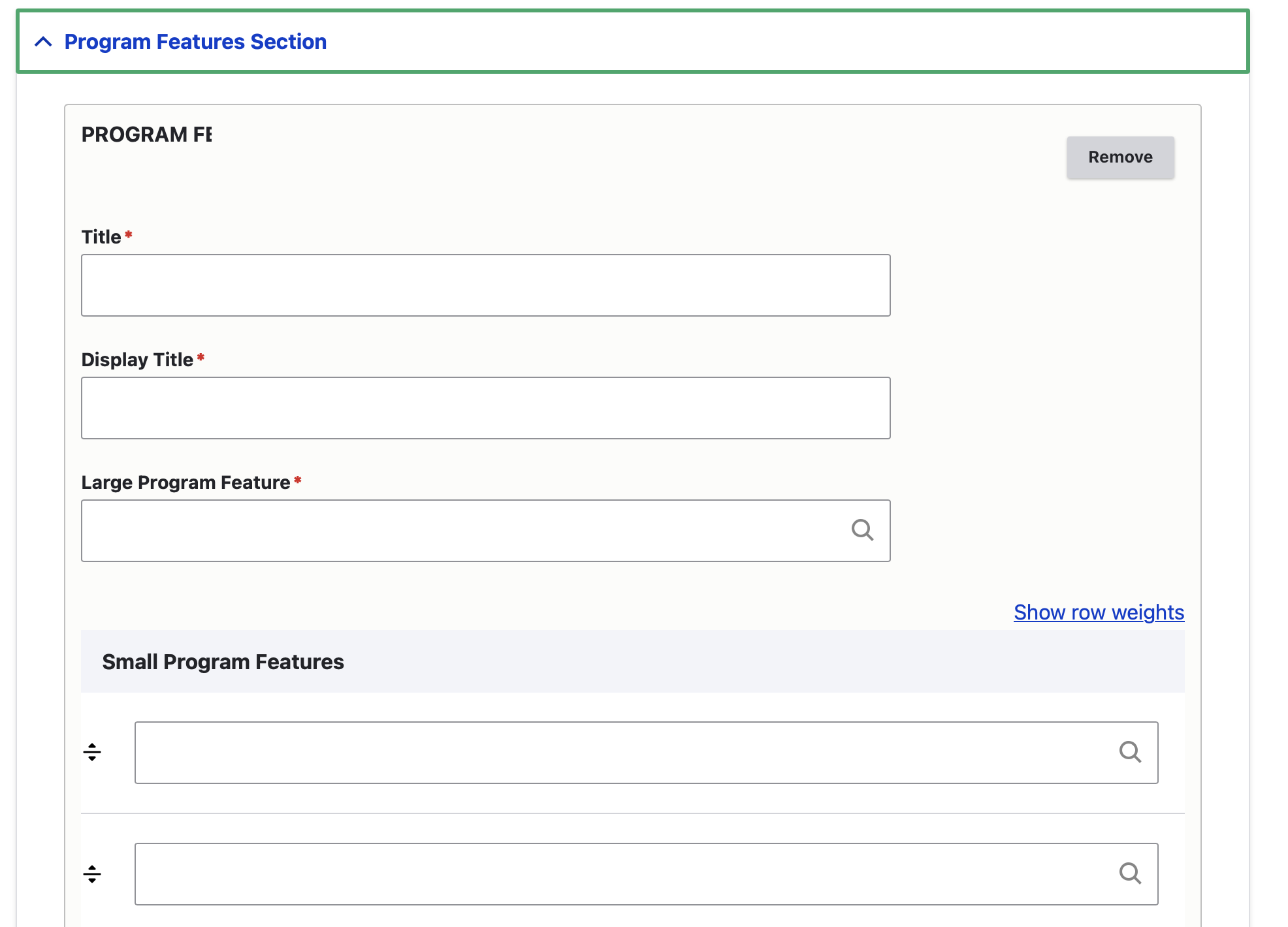 screenshot of backend: program features
