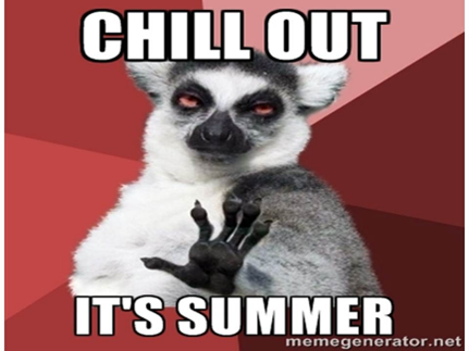 a lemur saying chill out it's summer