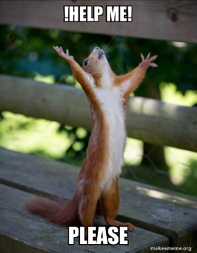 a squirrel with his hands raised saying help me