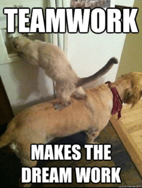 teamwork makes the dream work meme
