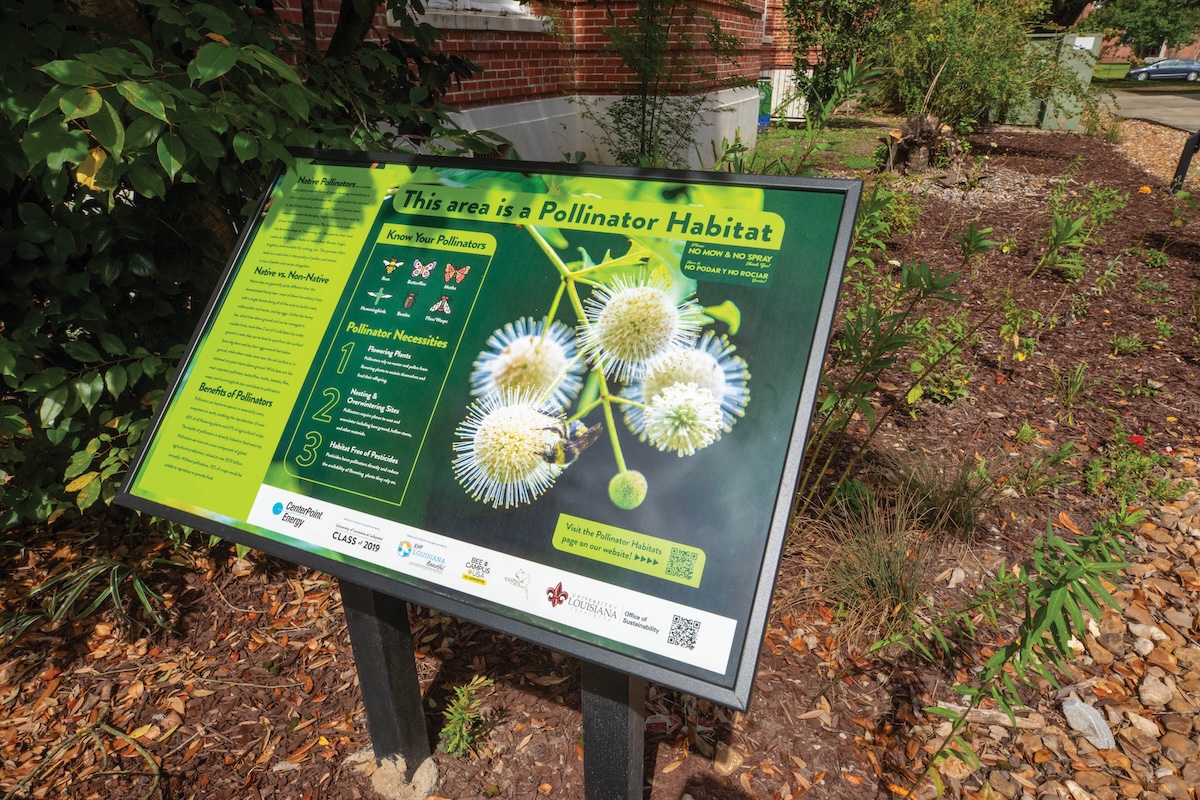 Bioswales Sustainability