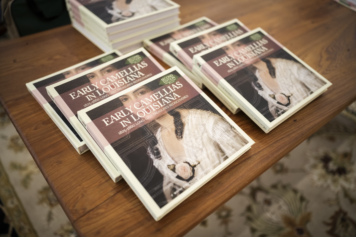 Copies of a book about camellias sit on a wooden table.