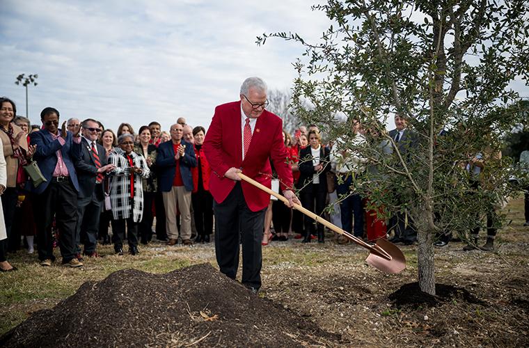 Dr. Savoie placing dirt on a newly planted oak tree