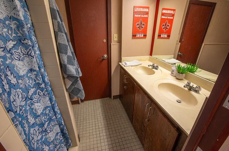 junior suite style dorm bathroom