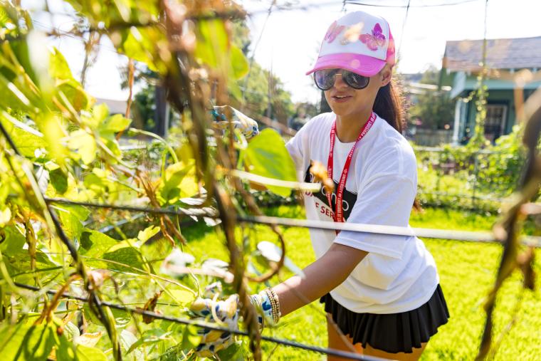 A student in a SOUL Camp shirt works in a garden during a service project