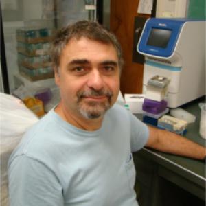 Andrei Chistoserdov