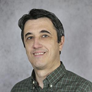 Paul L. Salceanu