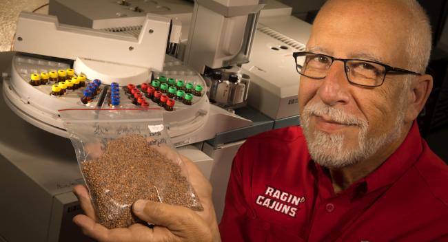 Dr. Karl Hasenstein holds seeds that are part of his research in conjunction with the International Space Station.