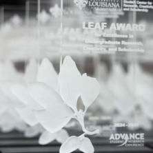 The Leaf Awards plaques