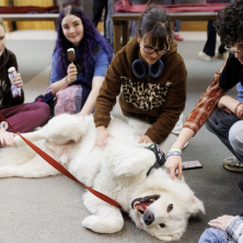 Four UL students pet a dog during Mental Health Week