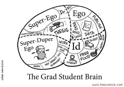 This is your brain. This is your brain on grad school. 