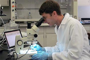 Dr. Brian Schubert in the lab