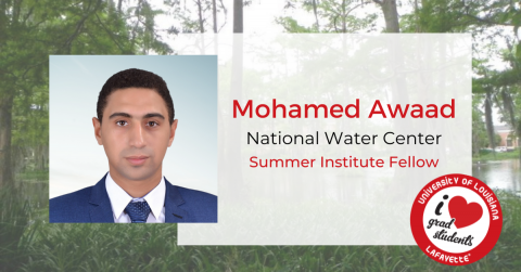 Mohamed Awaad - Summer Institute Fellow
