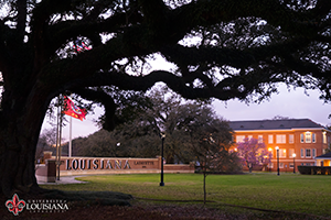 Desktop wallpaper of the Louisiana Welcome Wall framed by an oak tree